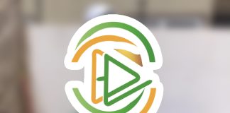 Navigating Renewable Energy Trends: Insights for West African Industries